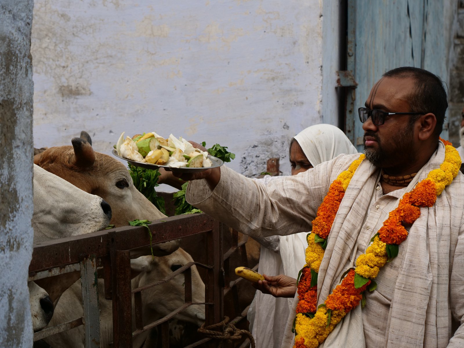  256 Gopashtami Radha kunda Govardhan 19.11.04